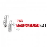 飘 13/312 NX