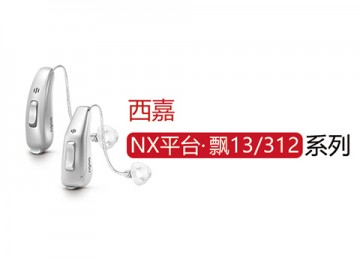 飘 13/312 NX