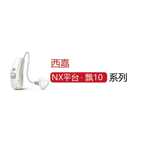 飘 10 NX