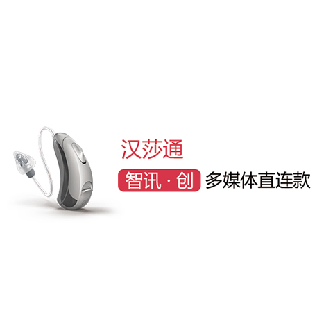 智讯 多媒体直连款