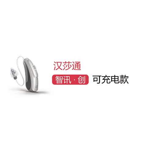 智讯 可充电款